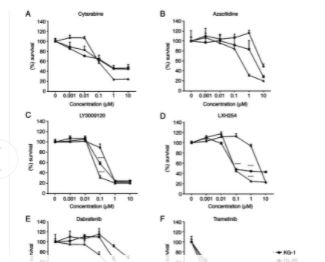 Vesicular formation regulated by ERK/MAPK pathway mediates human erythroblast enucleation